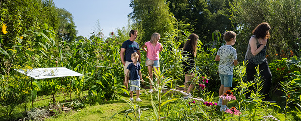 Rendez-vous aux jardins #2025