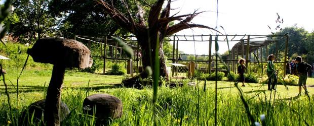 CREATING A VEGETABLE GARDEN copy copy copy copy