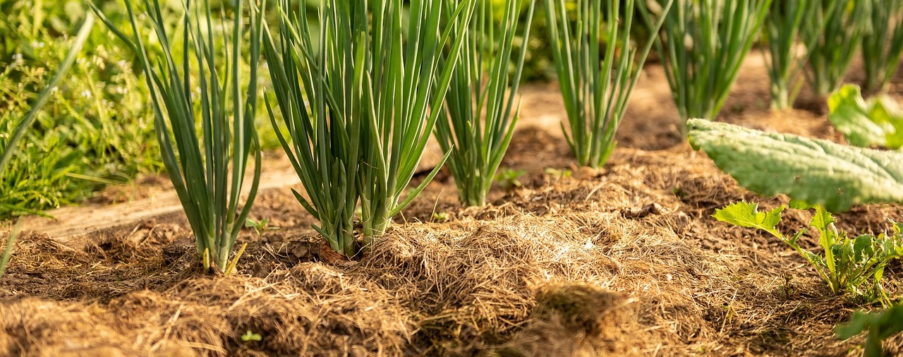 Manoir de Kernault - image Permaculture