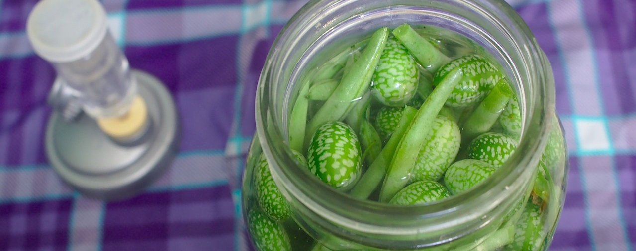 Manoir de Kernault - image Lacto-fermentation