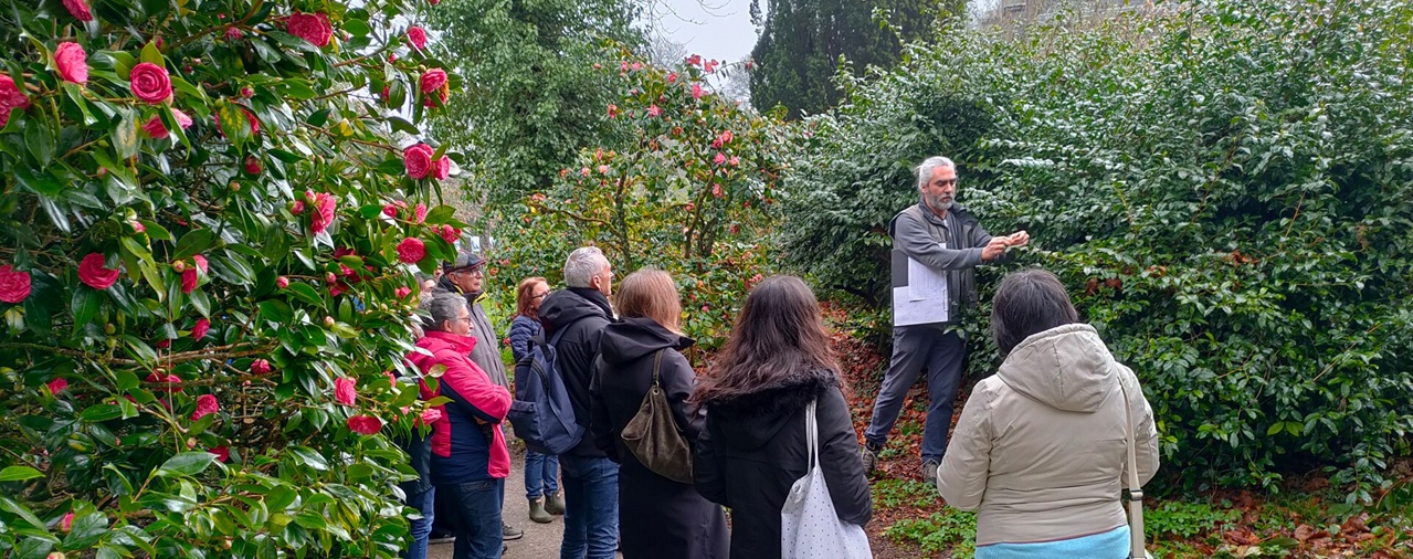 Domaine de Tr&eacute;varez - image Les jeudis cam&eacute;lia #1