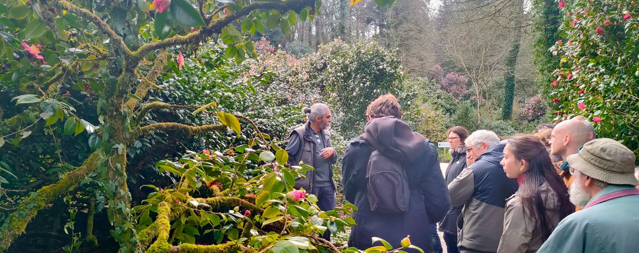 Domaine de Tr&eacute;varez - image Les jeudis cam&eacute;lia #3