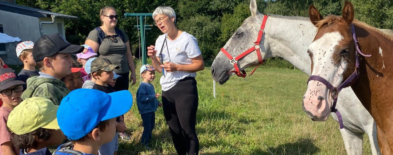 Mus&eacute;e de l'&eacute;cole rurale - La ferme p&eacute;dagogique de Lauben