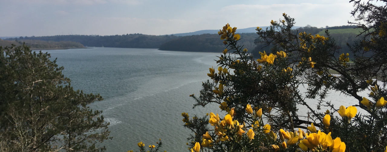 Mus&eacute;e de l'&eacute;cole rurale - balade patrimoine