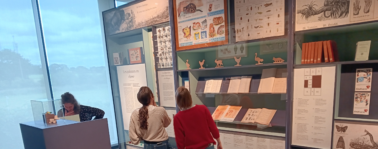 Musée de l'école rurale - exposition plus ou moins bêtes