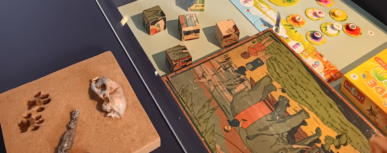 Musée de l'école rurale - Exposition Plus ou moins bêtes #3