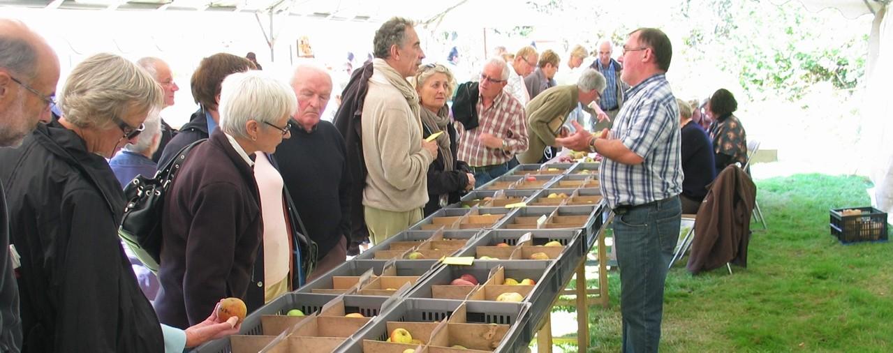 Ecomus&eacute;e des monts d'arr&eacute;e - image 2 F&ecirc;te pommes