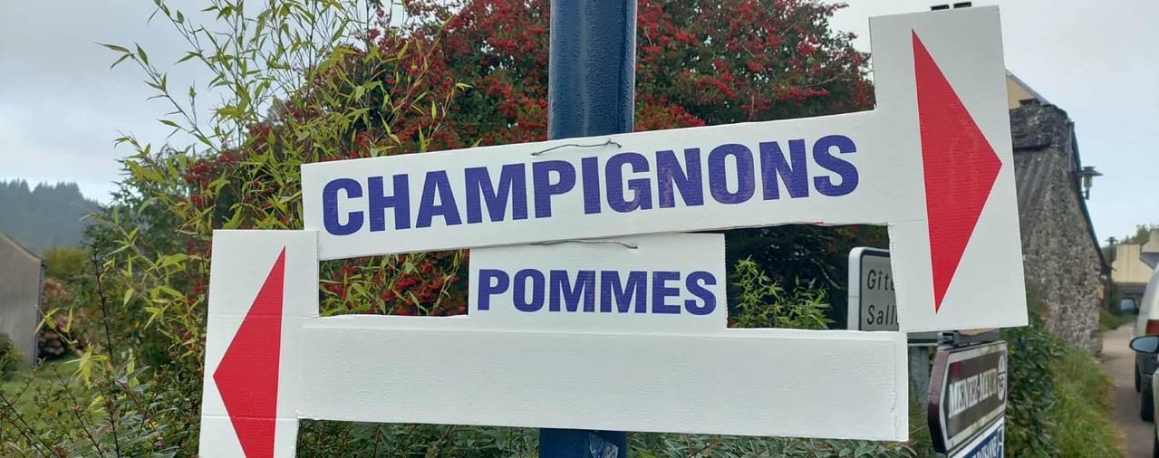 Ecomus&eacute;e des monts d'arr&eacute;e - image 3 F&ecirc;te pommes