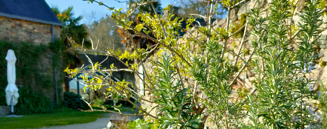 Abbaye de Land&eacute;vennec - jardin