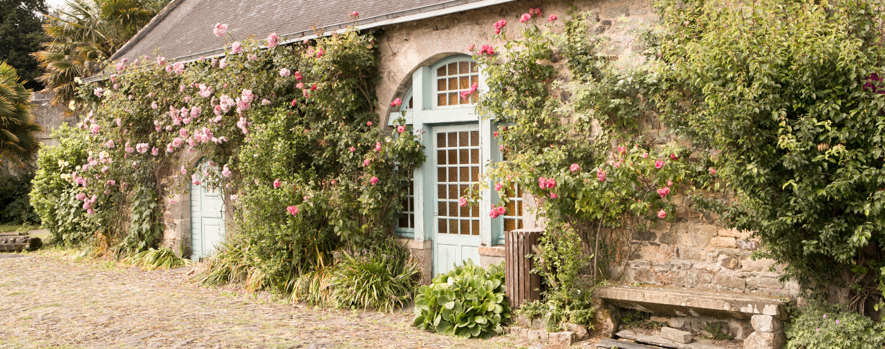Abbaye de Land&eacute;vennec - &eacute;curies