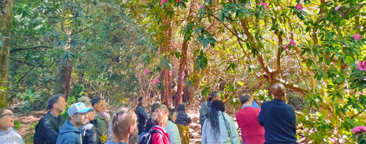 Tr&eacute;varez-Saisons botaniques-Les rhodos historiques de Tr&eacute;varez : la visite des jardiniers-2026