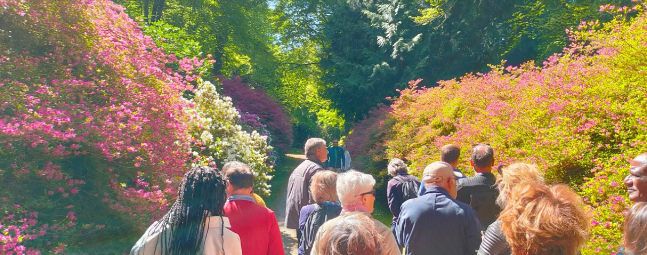 Tr&eacute;varez-Saisons botaniques_Les rhodos historiques de Tr&eacute;varez : la visite des jardiniers_2026