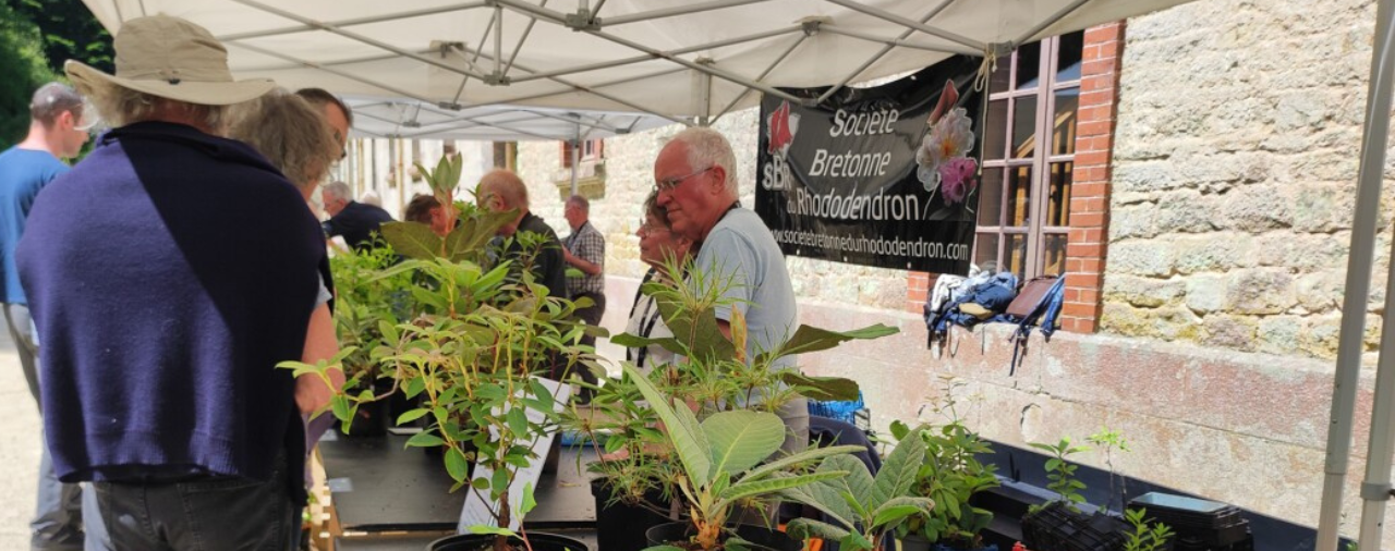 Tr&eacute;varez-Le coin du collectionneur-Les dimanches rhodo 2026