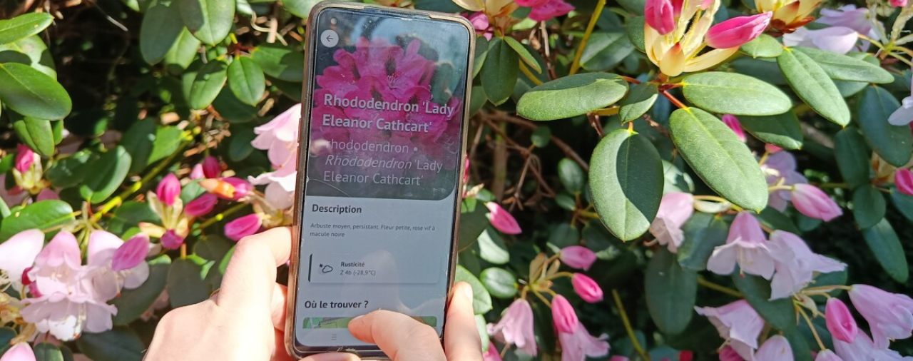 Domaine départemental de Trévarez_Saisons botaniques-Hortus Botanica