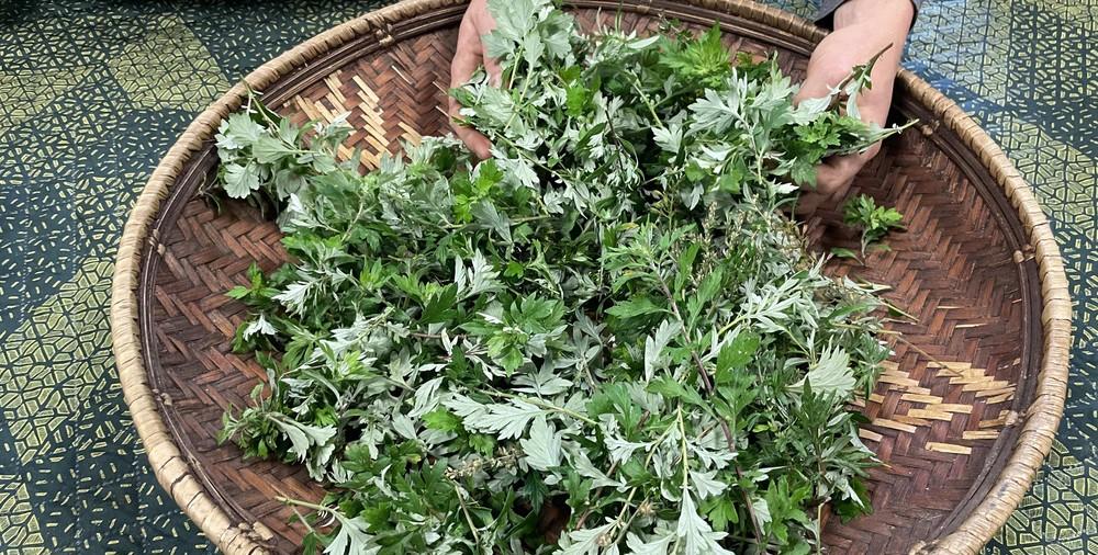 Abbaye de Daoulas - Image 1 Tisane minute !