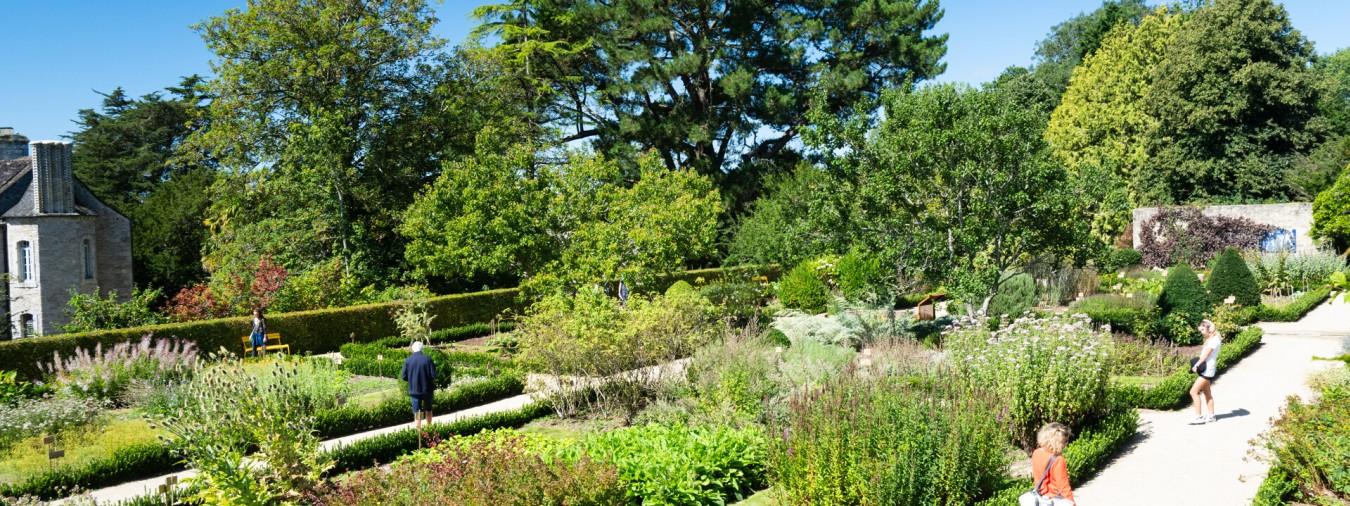 Abbaye de Daoulas - Image 1 Les plantes, les yeux ferm&eacute;s