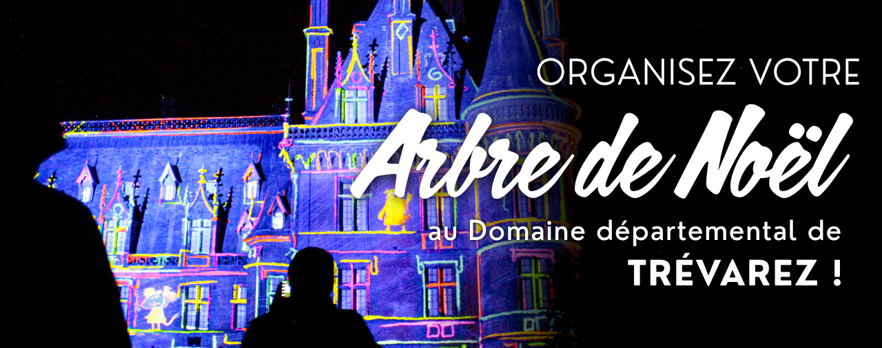 Arbre de No&euml;l