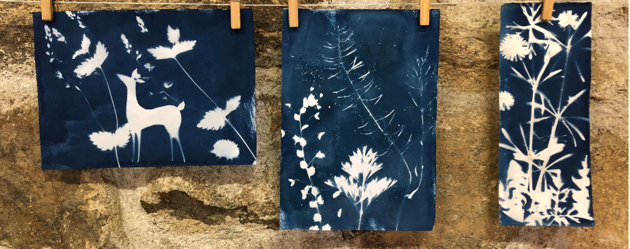 Manoir de Kernault - Cyanotype JEDP26