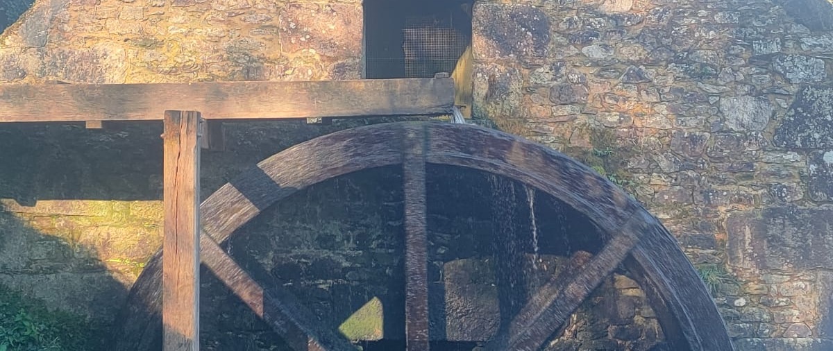 Ecomus&eacute;e - JEP moulin eau