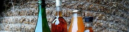 Mus&eacute;e breton rdv ap&eacute;ro #1