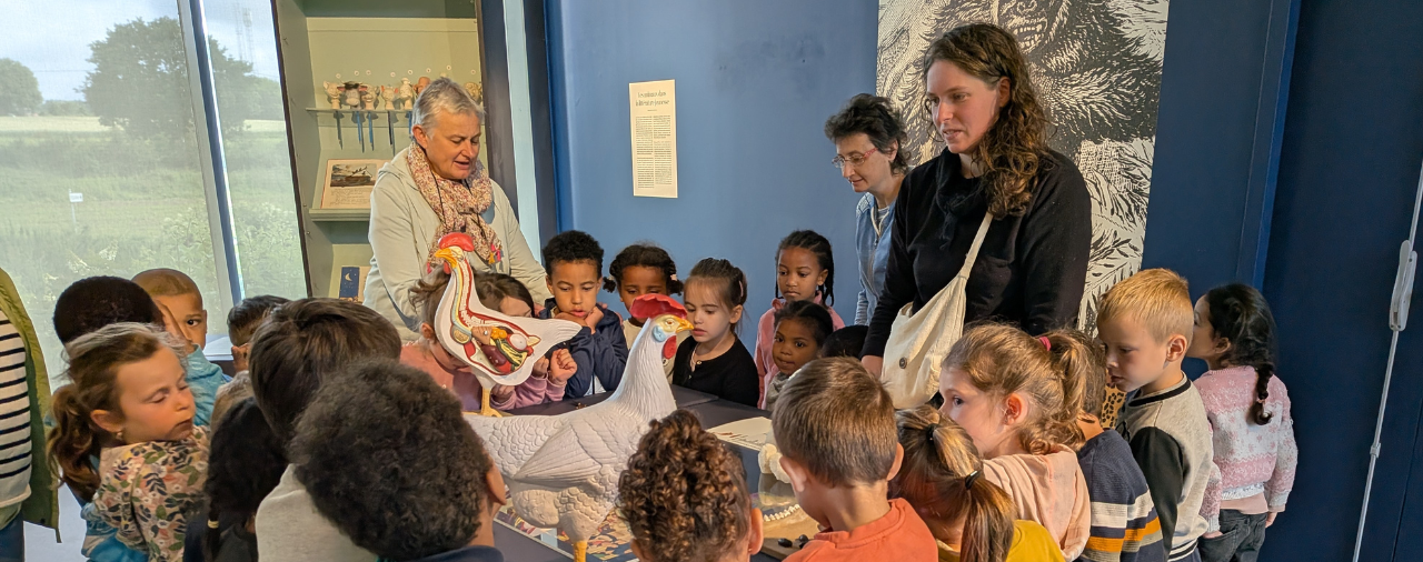 Mus&eacute;e de l'&eacute;cole - visite Plus ou moins b&ecirc;tes