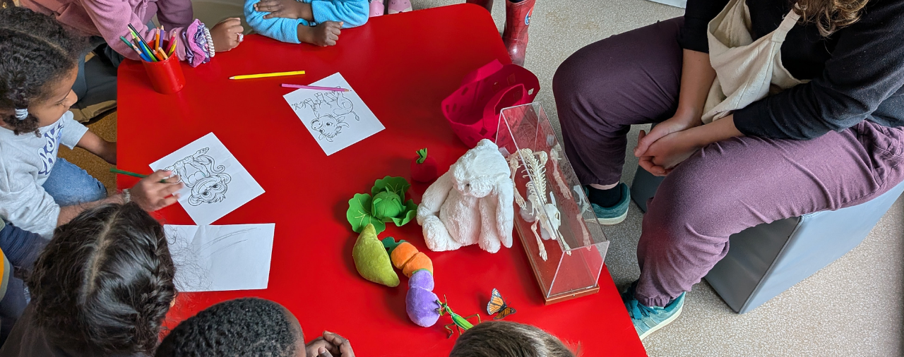 Mus&eacute;e de l'&eacute;cole - mon petit lapin #2