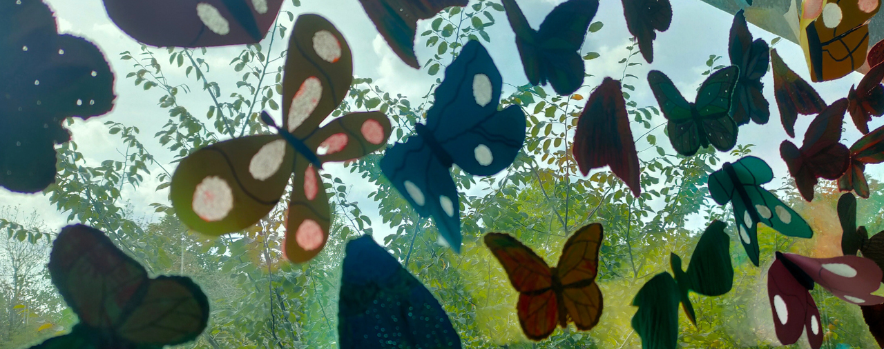 Musée de l'école - papillon de lumière
