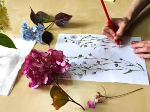 L'hortensia en aquarelle | Les dimanches Hortensias # 2
