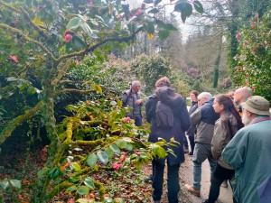 Nom d’un camélia !