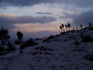 Les balades photographiques de Daoulas