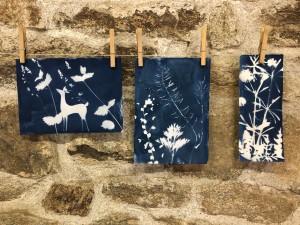 Fleurs sauvages en cyanotype