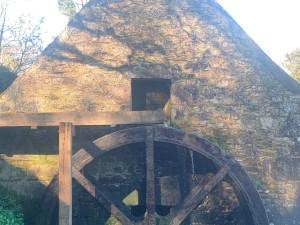 Comprendre le fonctionnement des moulins à vent et à eau