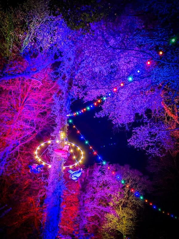 Offrez-vous une luciole et illuminez Noël à Trévarez !