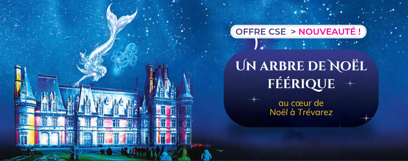 OFFRES CSE: L'Arbre de No&euml;l