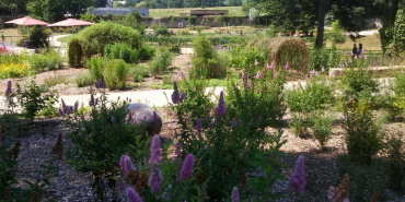 Le jardin des arbres médicinaux de l'Abbaye de Daoulas nominé aux Victoires du paysage !